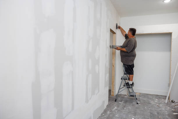 Trusted Mustang Ridge, TX Mold Removal Experts